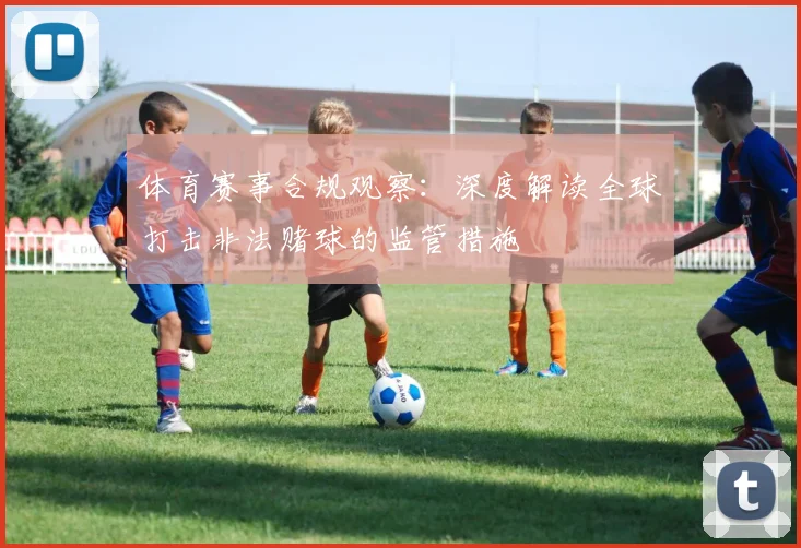 体育赛事合规观察：深度解读全球打击非法赌球的监管措施
