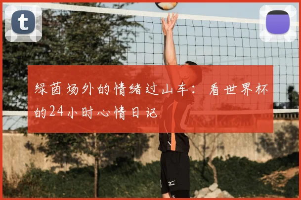 绿茵场外的情绪过山车：看世界杯的24小时心情日记