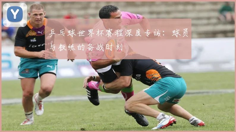 乒乓球世界杯赛程深度专访：球员与教练的备战时刻