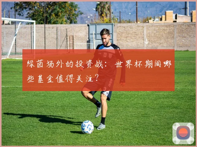 绿茵场外的投资战：世界杯期间哪些基金值得关注？