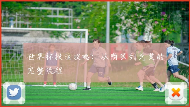 世界杯投注攻略：从购买到兑奖的完整流程