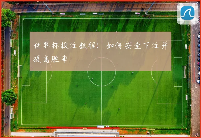 世界杯投注教程:如何安全下注并提高胜率