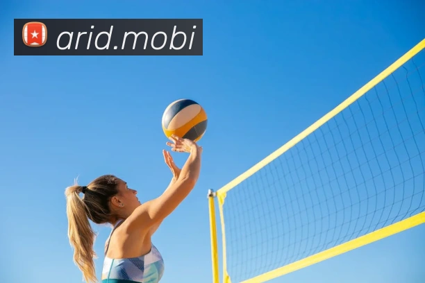 App Interface Preview